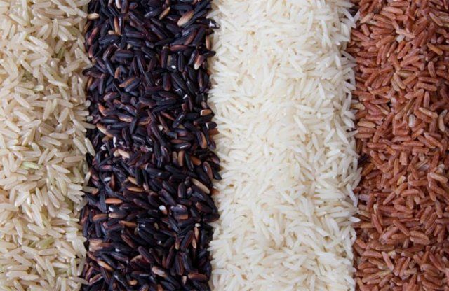 Arroz: conheça seus tipos e características